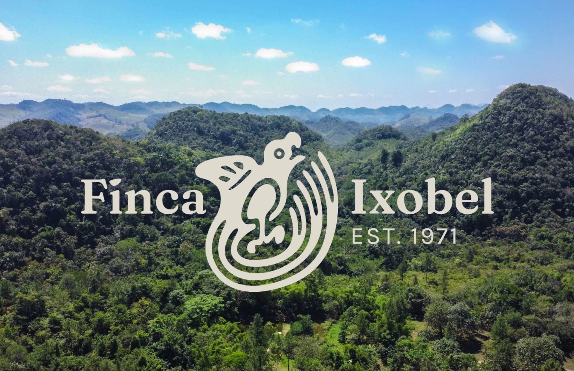 Finca Ixobel — photo 4